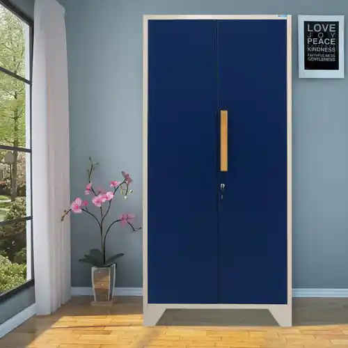 Best Almirah Manufacturers Provider In Delhi